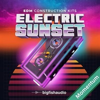 Electric Sunset - EDM Construction Kits MMT(オンライン納品)(2時間以内に納品)