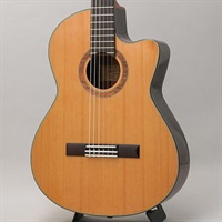 CTM CE-3D Select Cedar Top ～Ikebe Original Order Model～ Kヤイリ