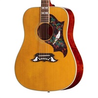 1963 Dove Reissue エピフォン