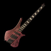 Blaze 5st / Fanned Fret 34-32 (Quilted Maple Top)