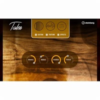 【スタインバーグSummer Deals 2025！】Tales (スタインバーグ)(テイルズ)(ギター音源)(オンライン納品)(2時間以内に納品)