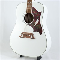 【数量限定エピフォン・アクセサリーパックプレゼント】 Dove Studio Limited Edition Alpine White エピフォン