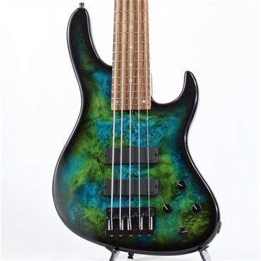 Sadowsky Guitars MetroLine 24-Fret Modern Bass Special Edition Nebula 5st
