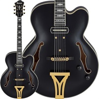 ARTSTAR PM3C-BKL (Black Low Gloss) [Pat Metheny Model] [SPOT MODEL]