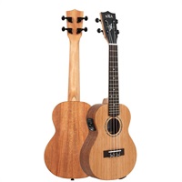 KA-JH-AMHG-C-E カラ