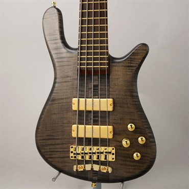 Warwick Custom Shop Streamer Stage I 5st (Nirvana Black Transparent Satin/Gold Hardware)