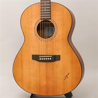 RF-65E Lite [ショートスケール＆エレアコモデル] Kヤイリ