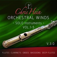 CHRIS HEIN WINDS SOLO VOL. 1-5 (クリス・ハイン)(木管楽器)(オンライン納品)(2時間以内に納品)