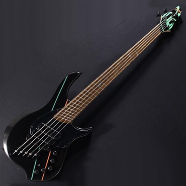 DINGWALL JT-3 5st John Taylor Signature Model (Metallic Black/PF)