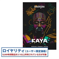 Beatmaker KAYA ロイヤリティ(オンライン納品)(2時間以内に納品)