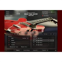 Session Guitarist - Electric Ruby Deluxe (ネイティブインストルメンツ)(KONTAKTインストゥルメント)(オンライン納品)(2時間以内に納品)
