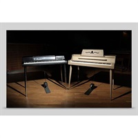 Electric Keys - Moonshell (ネイティブインストルメンツ)(KONTAKTインストゥルメント)(オンライン納品)(2時間以内に納品)