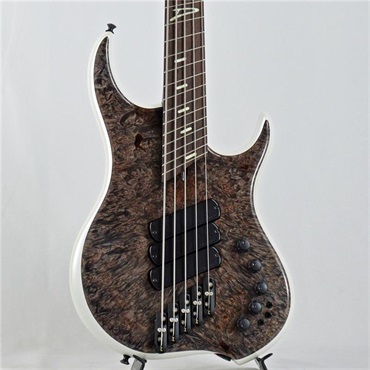 DINGWALL Z3 5strings Maple Burl Top/Alder Back/Wenge Neck (Transparent Charcoal and Ducati White)