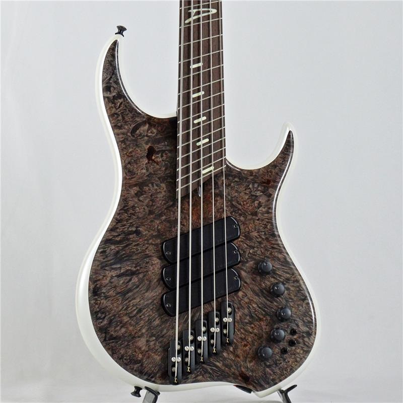DINGWALL Z3 5strings Maple Burl Top/Alder Back/Wenge Neck (Transparent Charcoal and Ducati White)