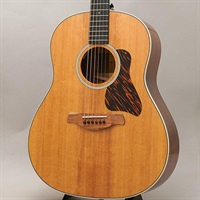 Gold Label 517e テイラー