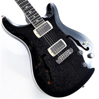 SE Hollowbody Standard Piezo (Dog Hair Smokeburst)　SN.CTCI04007