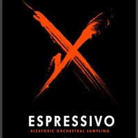 【ソノキネティックGWセール！】Espressivo (オーケストラ)(フレーズ)(Kontaktライブラリ)(オンライン納品)(2時間以内に納品)