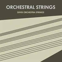 【ソノキネティックGWセール！】Orchestral Strings (オーケストラ)(Kontaktライブラリ)(ストリングス)(オンライン納品)(2時間以内に納品)