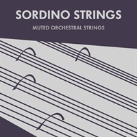 【ソノキネティックGWセール！】Sordino Strings (オーケストラ)(Kontaktライブラリ)(ストリングス)(オンライン納品)(2時間以内に納品)