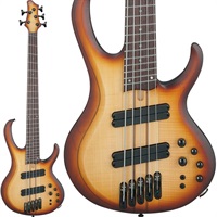 Bass Workshop BTB705LM-NNF [SPOT MODEL] 【特価】