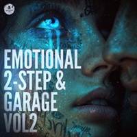 Emotional 2-Step & Garage Vol 2 (ガラージ)(エレクトロニカ)(オンライン納品)(2時間以内に納品)