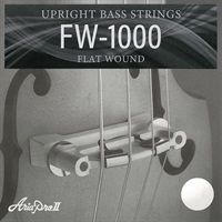 FW-1000