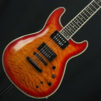 USED 中古 Dragonfly Elite(See-Thru Black Cherry)［SN.FSG0800474］ フェルナンデス/バーニー