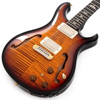 Hollowbody II Piezo 10 Top (Custom Color) SN.0392819