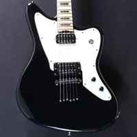 PA-SW/KA 【Progauge Artist Model SHADOWS KAZUKI】