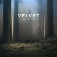 【イーインスツルメンツゴールデンウィークセール！】Velvet Guitars (スプリングリバーブ)(ギター音源)(オンライン納品)(2時間以内に納品)