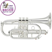 ヤマハ / YCR-4330GSII 【Bb コルネット】【5年保証】【出荷前調整で安心】