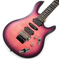 SE Chleo (Orchid Dusk) SN.CTIH060578 【2025年生産品】