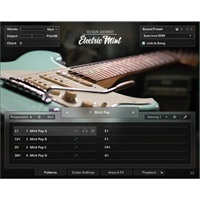 Session Guitarist - Electric Mint (エレキギター音源)(KONTAKT PLAYER)(オンライン納品)(2時間以内に納品)