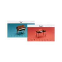 Electric Keys - Timber Duo (エレクトリック・ピアノ)(Kontakt Player)(オンライン納品)(2時間以内に納品)