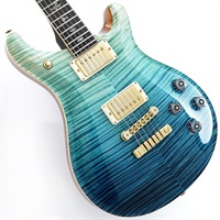 Private Stock #11125 McCarty 594 Brazilian Rosewood Neck & Fingerboard (Sub-Zero fade)