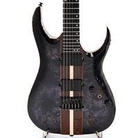 USED 中古 Premium RGA21P1PB-DRL (Deep Twilight Burst Low Gloss) [SPOT MODEL] [SN. I250502628]
