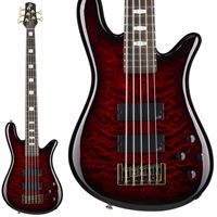【入荷待ち、ご予約受付中】 NS ICON Bolt-on 5 (Black Cherry Gloss)