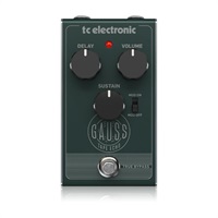 GAUSS TAPE ECHO