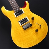 SE Custom 24 (Vintage Yellow) #CTI H023164【2025年生産品】