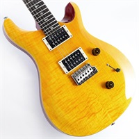 SE Custom 24 (Vintage Yellow) SN.H021775 2025年生産品