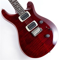 SE Custom 24 (Ruby) SN.H061442 2025年生産品