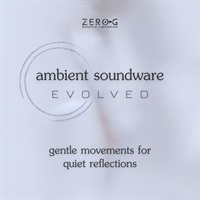 Ambient Soundware Evolved (アンビエント)(ウェーブテーブル)(シンセサイザー)(オンライン納品)(2時間以内に納品)