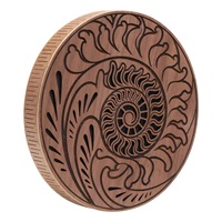 RDO10F [Raindisk 10'' ‐ Fibbonaci inspired carving]