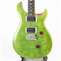USED 中古 SE Custom24 Eriza Verde[SN.G001687]ポールリードスミス
