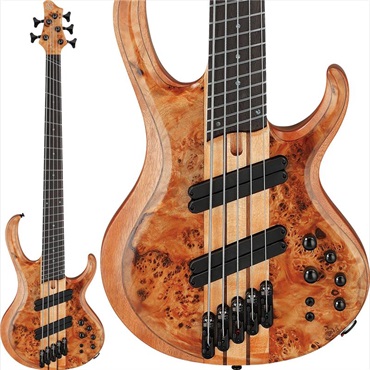Ibanez BTB805MS-FNL [SPOT MODEL]