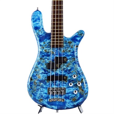 Warwick Pro Series Streamer LX 4st Birdseye Poplar Top (Bleached Blue TP HP) [Ikebe 50th Anniversary Special Edition] #013939