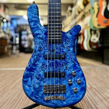 Warwick Pro Series Streamer LX 5st Birdseye Poplar Top (Bleached Blue TP HP) [Ikebe 50th Anniversary Special Edition] #14001