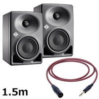 【夏先取り大特価セール】KH 80 DSP A G  (ペア)【PASSGO REDスピーカーケーブルセット(TRS-XLR)1.5ｍ】(ノイマン)(モニタースピーカー)(KH80)(アクティブモニタースピーカー)