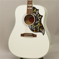 Hummingbird Maple Alpine White Gloss 【限定生産モデル】  ギブソン