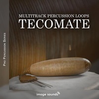 Tecomate (メキシコ)(テコマテ)(パーカッション)(サンプルパック)(オンライン納品)(2時間以内に納品)